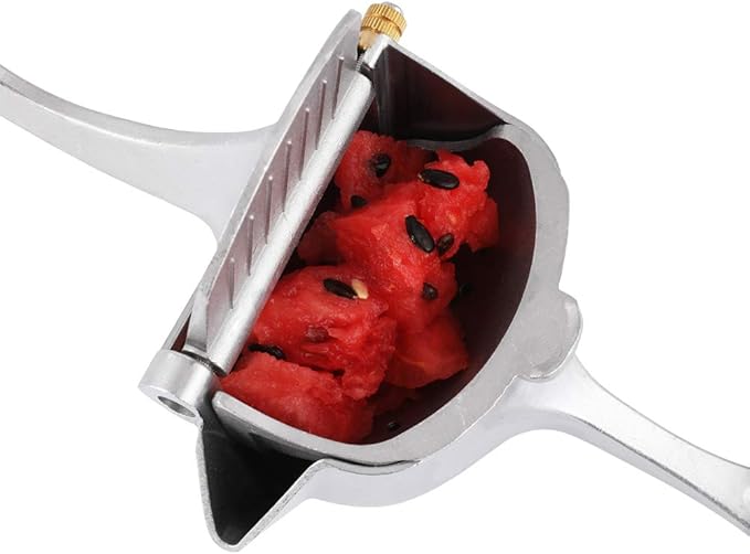 Manual Fruit Juicer
