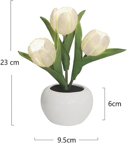 Tulip LED Desk Lamp