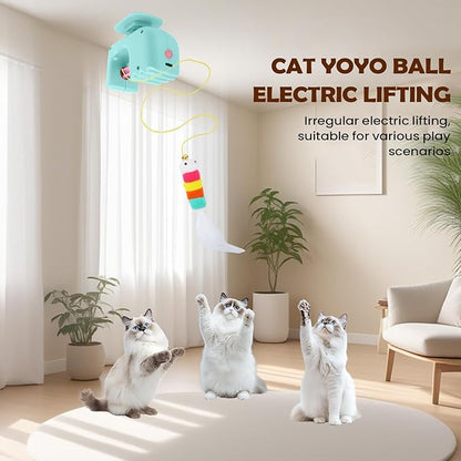 Hangable Pet Toys
