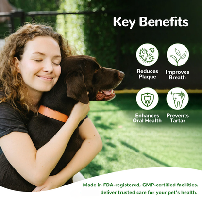 Dog Dental Care Powder