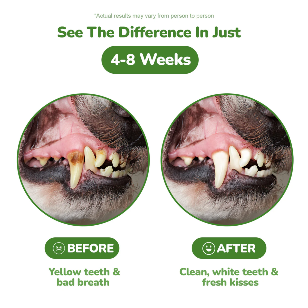 Dog Dental Care Powder