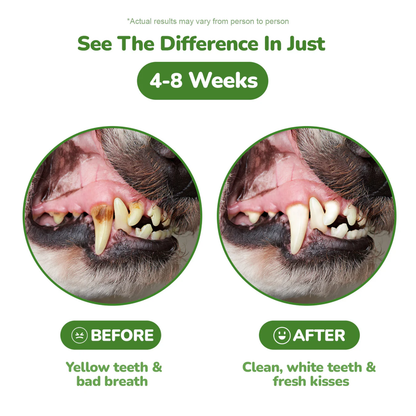 Dog Dental Care Powder