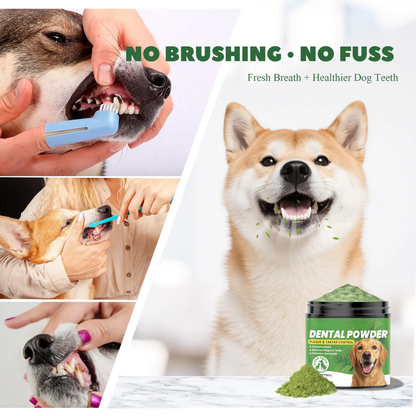Dog Dental Care Powder