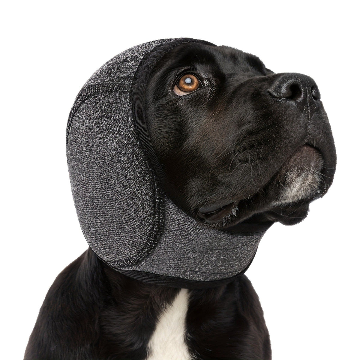 Dog Calming Hoodie Ear Wraps — Waterproof Swim Cap & Noise Cancelling Ear Muffs