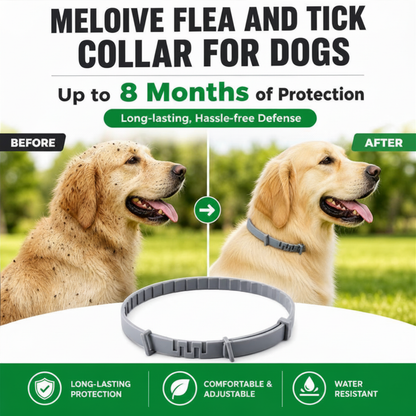 Meloive Flea and Tick Collar for Dogs